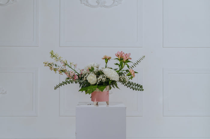 Sweet Dream Arrangement